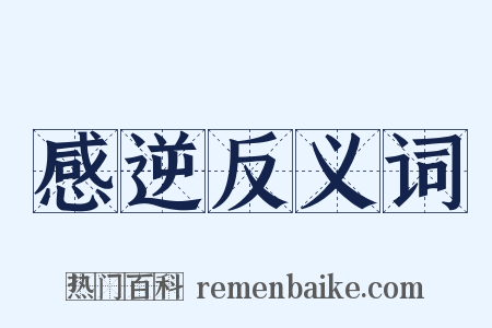 感逆反义词是什么意思的图片